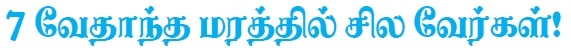veda